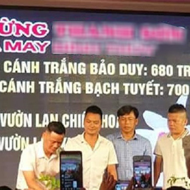 Lý do không ngờ khiến chậu hoa lan này có giá 700 triệu đồngicon