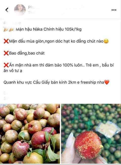 Mận đầu mùa giá 'chát', tiểu thương Hà Nội 'hét' giá 200 nghìn đồng/kg