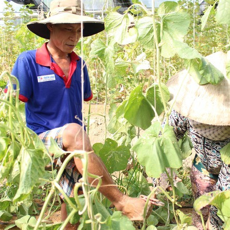 Mất cả 2 tay, ông chủ công ty máy tính khởi nghiệp với nông nghiệp cao