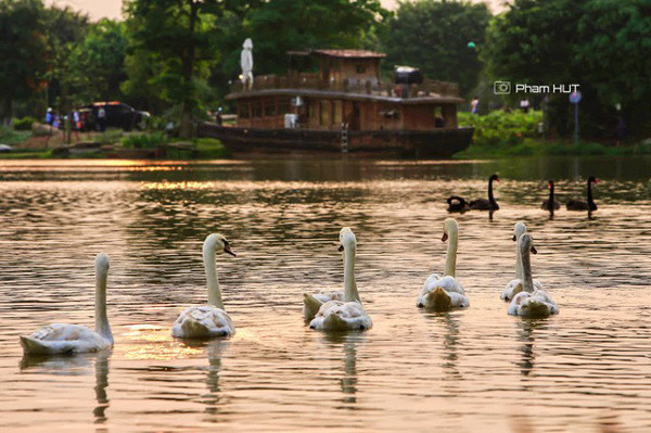 Mê mẩn những bức ảnh ‘nhà mình’ của cư dân Ecopark