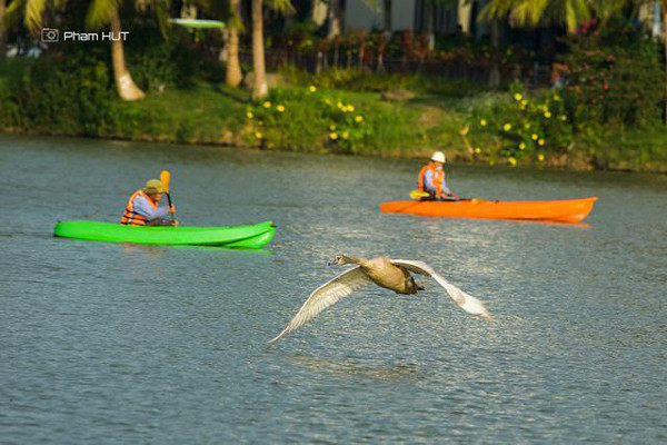 Mê mẩn những bức ảnh ‘nhà mình’ của cư dân Ecopark