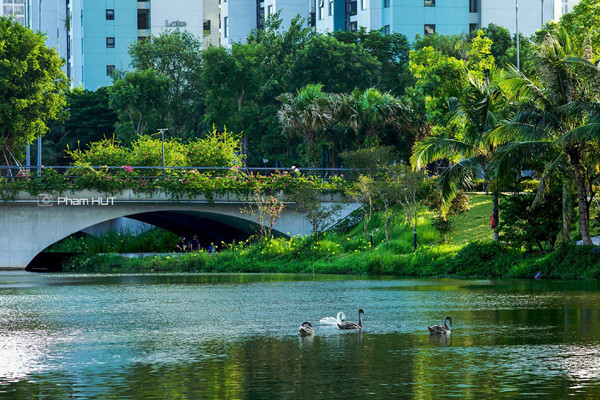 Mê mẩn những bức ảnh ‘nhà mình’ của cư dân Ecopark