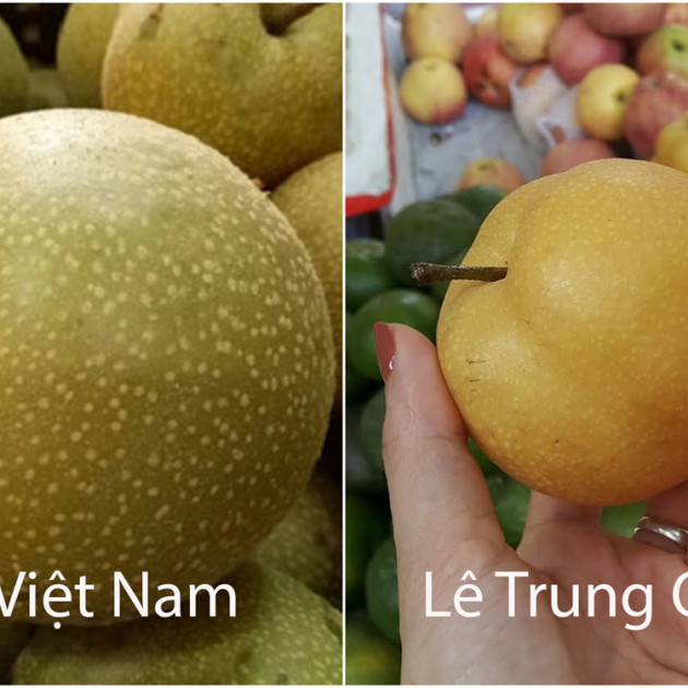 Mẹo đơn giản phân biệt lê Việt Nam và lê Trung Quốc chỉ qua mắt thường