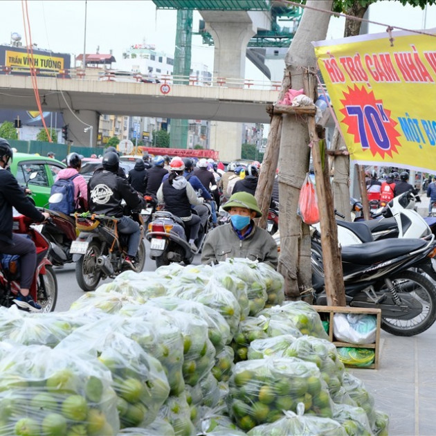 Mít Thái giảm giá chưa từng có, chỉ 2.000 đồng/kg