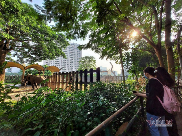 Mở lại sau gần nửa năm đóng cửa, sớm tinh mơ đưa con dạo Thảo Cầm Viên