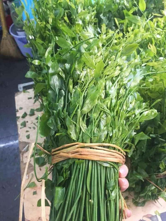 Món rau lạ trên rừng về Hà Nội, 200 nghìn/kg vẫn ‘cháy hàng’