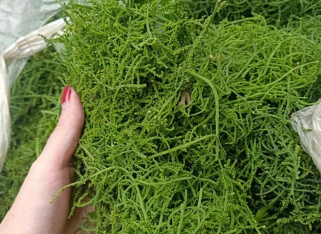 Món rau lạ trên rừng về Hà Nội, 200 nghìn/kg vẫn ‘cháy hàng’