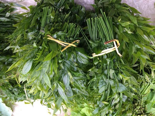 Món rau lạ trên rừng về Hà Nội, 200 nghìn/kg vẫn ‘cháy hàng’