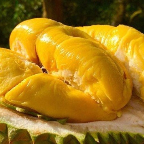 Một mùa ế và lỗ: Thanh long 4 nghìn, na 15 nghìn, cá hồi 120 ngàn/kg