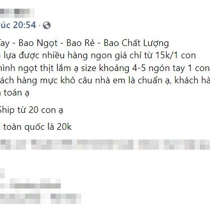 Mực khô bán giá 'rẻ giật mình' trên chợ mạng, chỉ 200.000 đồng/kg loại mực to bằng cả bàn tay