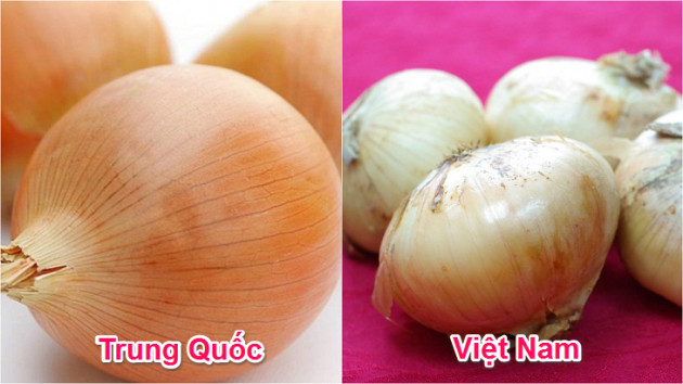 Muốn phân biệt hành tây Việt Nam và Trung Quốc chỉ cần nhìn vào đặc điểm này trên củ hành - Ảnh 3.