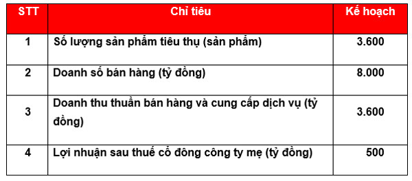 Năm 2021, An Gia đặt mục tiêu tăng gấp đôi doanh thu