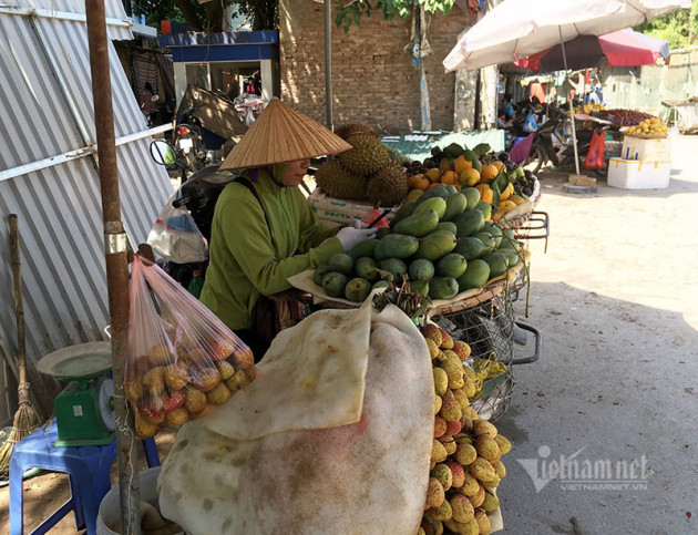 Nắng đổ lửa, chợ vắng tanh, hoa quả đắp chăn giữa trời 40 độ