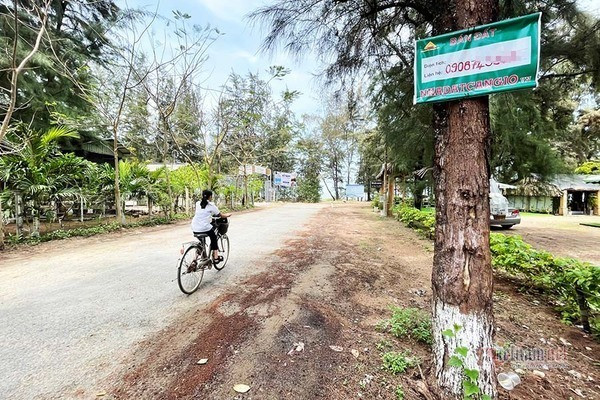 Ngăn giới đầu cơ ‘thổi’ giá đất, TP.HCM chỉ đạo khẩn