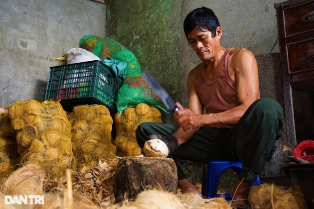 Nghề 'chặt đau tay' kiếm vài trăm nghìn đồng mỗi ngày giáp Tết