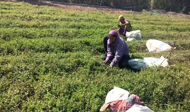 nghe ten tuong vo gia tri, hoa ra o viet nam nay trong nhieu thu tien &quot;khung&quot; hinh anh 6