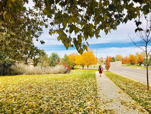 Ngôi nhà trên đất Mỹ mang âm hưởng văn hóa Việt