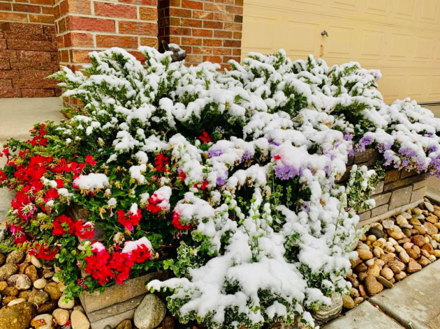 Ngôi nhà trên đất Mỹ mang âm hưởng văn hóa Việt