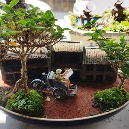 Người đàn ông Nha Trang sở hữu hàng nghìn bonsai, tiểu cảnh miniicon