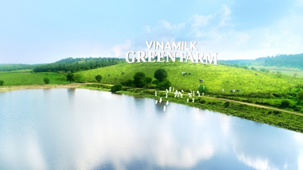 Người dùng hứng thú với 'lý lịch' dòng sữa tươi Vinamilk Green Farm mới