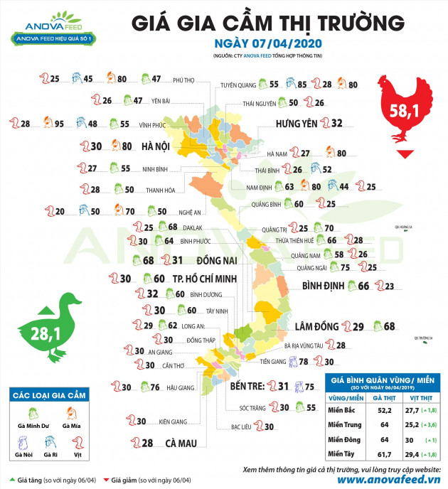 Nguồn cung dư thừa, thịt và trứng gia cầm giảm sâu