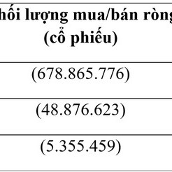 Nhà đầu tư nước ngoài đã rút hơn 1 tỷ USD khỏi sàn chứng khoánicon
