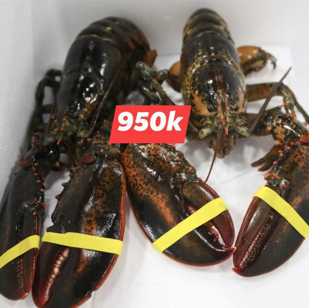 Nhà hàng hạ giá tôm hùm xanh 169.000 đồng/con, tôm Alaska giảm 700.000 đồng/kg
