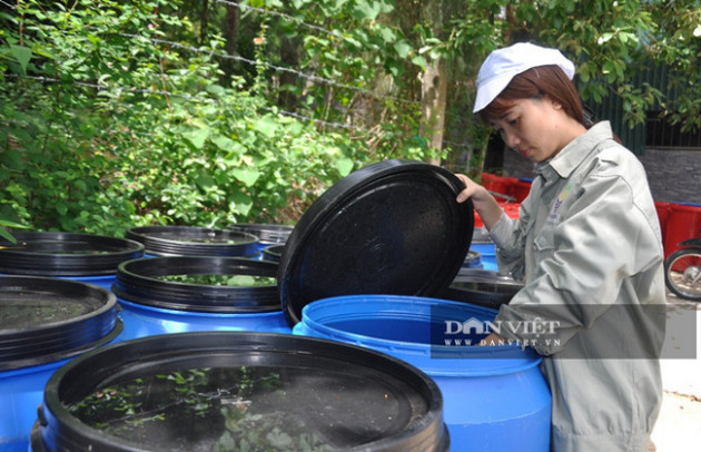 Nhặt thứ rác thiên hạ vứt đi về 'hô biến' thành nước tẩy rửa, gái xinh ngành kiểm toán nổi như cồn