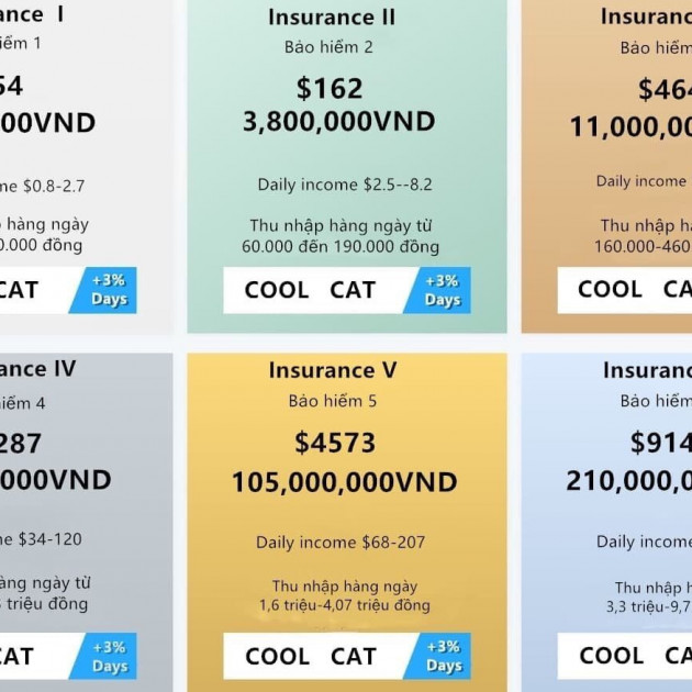 Nhảy vào sàn ảo Coolcat, tham giàu nhanh mất đứt sổ đỏ 5 căn nhà