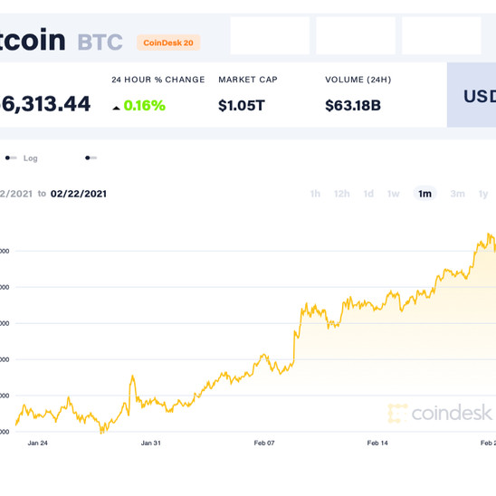 Nhiều người Mỹ không hiểu Bitcoinicon