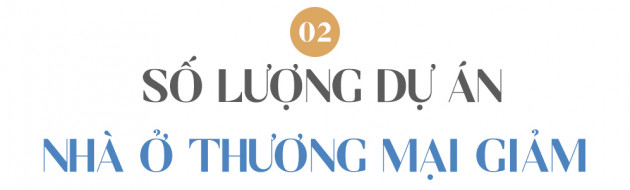 Nhìn lại một năm sóng gió của thị trường BĐS TP.HCM