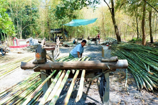 Nhọc nhằn nghề 'thổi lửa nướng tầm vông' vùng quê An Giang