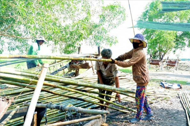 Nhọc nhằn nghề 'thổi lửa nướng tầm vông' vùng quê An Giang