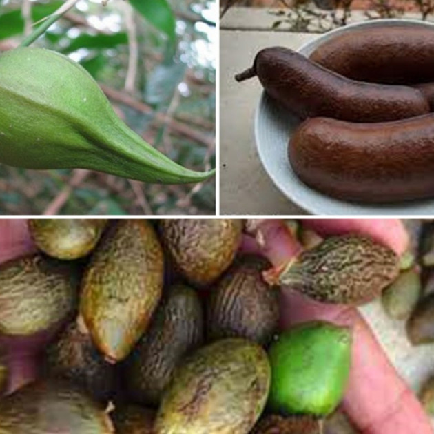 Những loại quả hiếm gặp, giá đắt nhưng ai cũng muốn mua về ăn thửicon