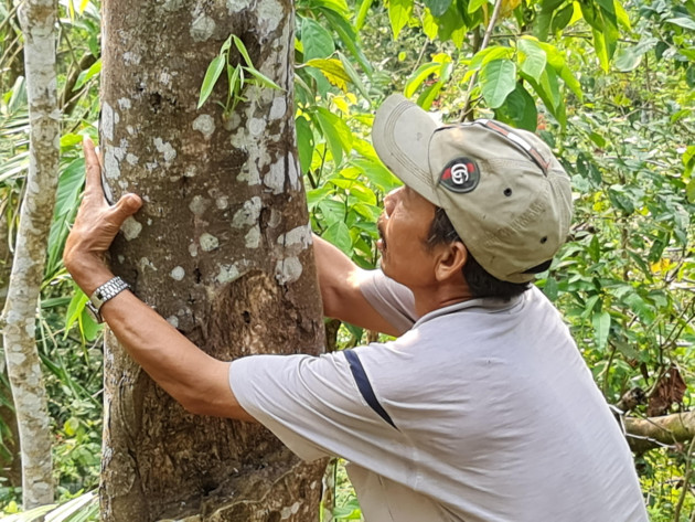 Những người nuôi mộng tỷ phú trầm hương