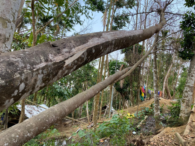 Những người nuôi mộng tỷ phú trầm hương