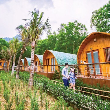 Nở rộ mô hình du lịch nghỉ dưỡng farmstay, Hà Nội ‘lệnh’ kiểm tra, xử lýicon