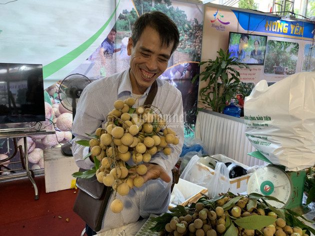 Nông dân tiết lộ loại nhãn ngon nhất Hưng Yên, có tiền khó mua