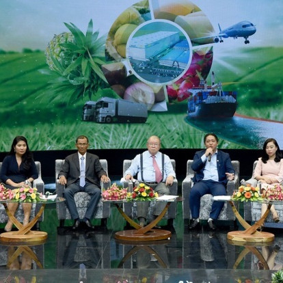 Nông sản ĐBSCL giảm sức cạnh tranh với hàng Thái, Trung Quốc do đâu?icon