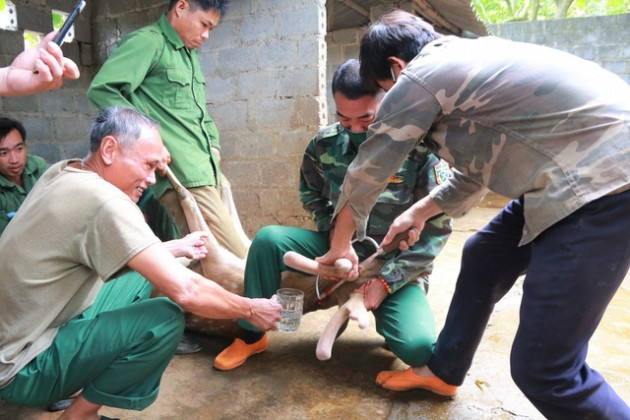 Nuôi con lấy 'thần dược' giúp người dân ở Ninh Bình thoát nghèo