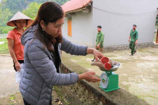 Nuôi con lấy 'thần dược' giúp người dân ở Ninh Bình thoát nghèo