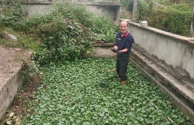 Nuôi đàn ba ba to 'đến phát khiếp', lão nông này thành tỷ phú