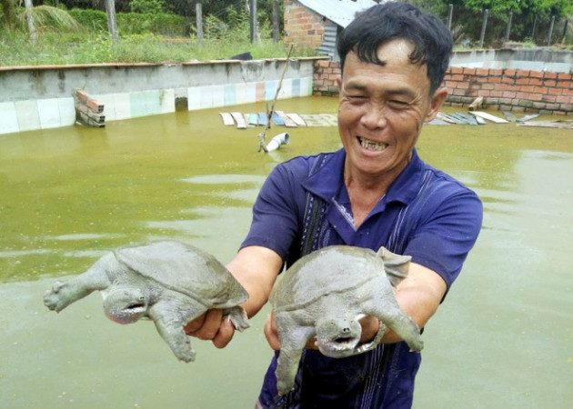 Nuôi loài 'chân vịt, thịt gà, da trâu, đầu rắn', chim 'siêu to khổng lồ' đút túi tiền tỷ