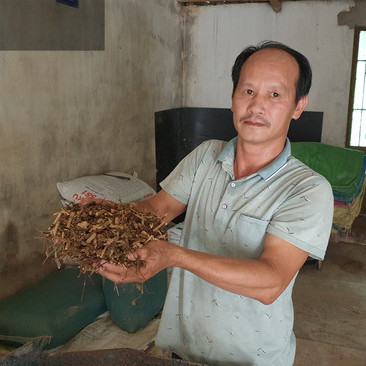 Nuôi thứ lợn cho ăn sâm, nghe nhạc trữ tình bán cho nhà giàuicon