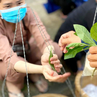 Ở Việt Nam có một khu chợ bán đồ ăn bằng... lá cây thay cho tiền, dân mạng nghe xong chỉ muốn lao đến mua ngay!icon