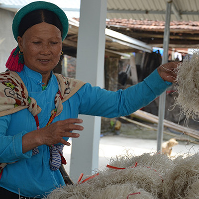 OCCP nâng chất nông sản Quảng Ninh