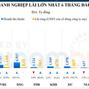 Phát Đạt vào top 5 doanh nghiệp có lợi nhuận cao nhất đầu năm 2021