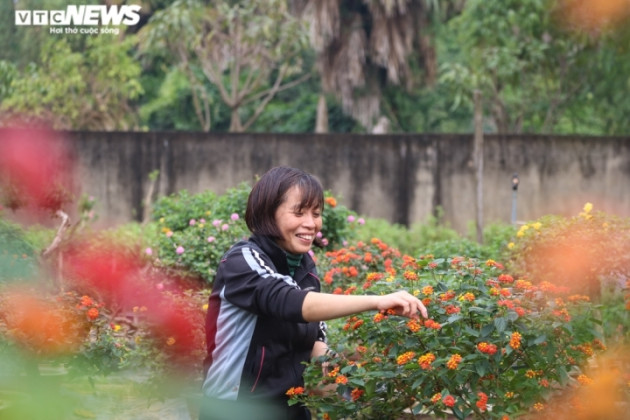 'Phù phép’ cây dại thành hàng độc chơi tết