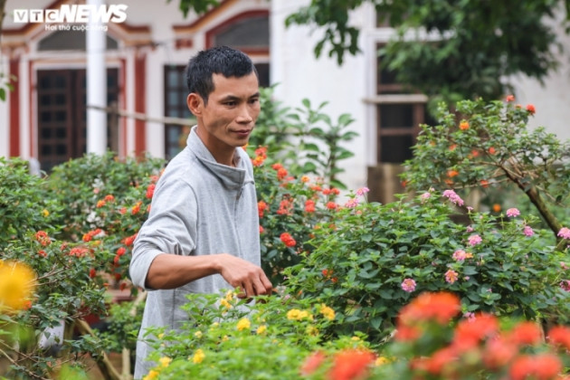 'Phù phép’ cây dại thành hàng độc chơi tết