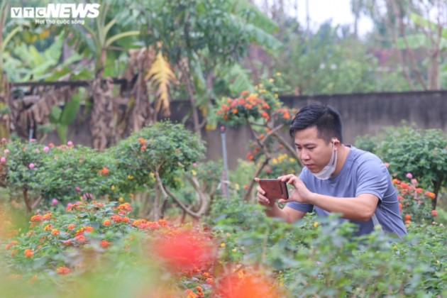 'Phù phép’ cây dại thành hàng độc chơi tết